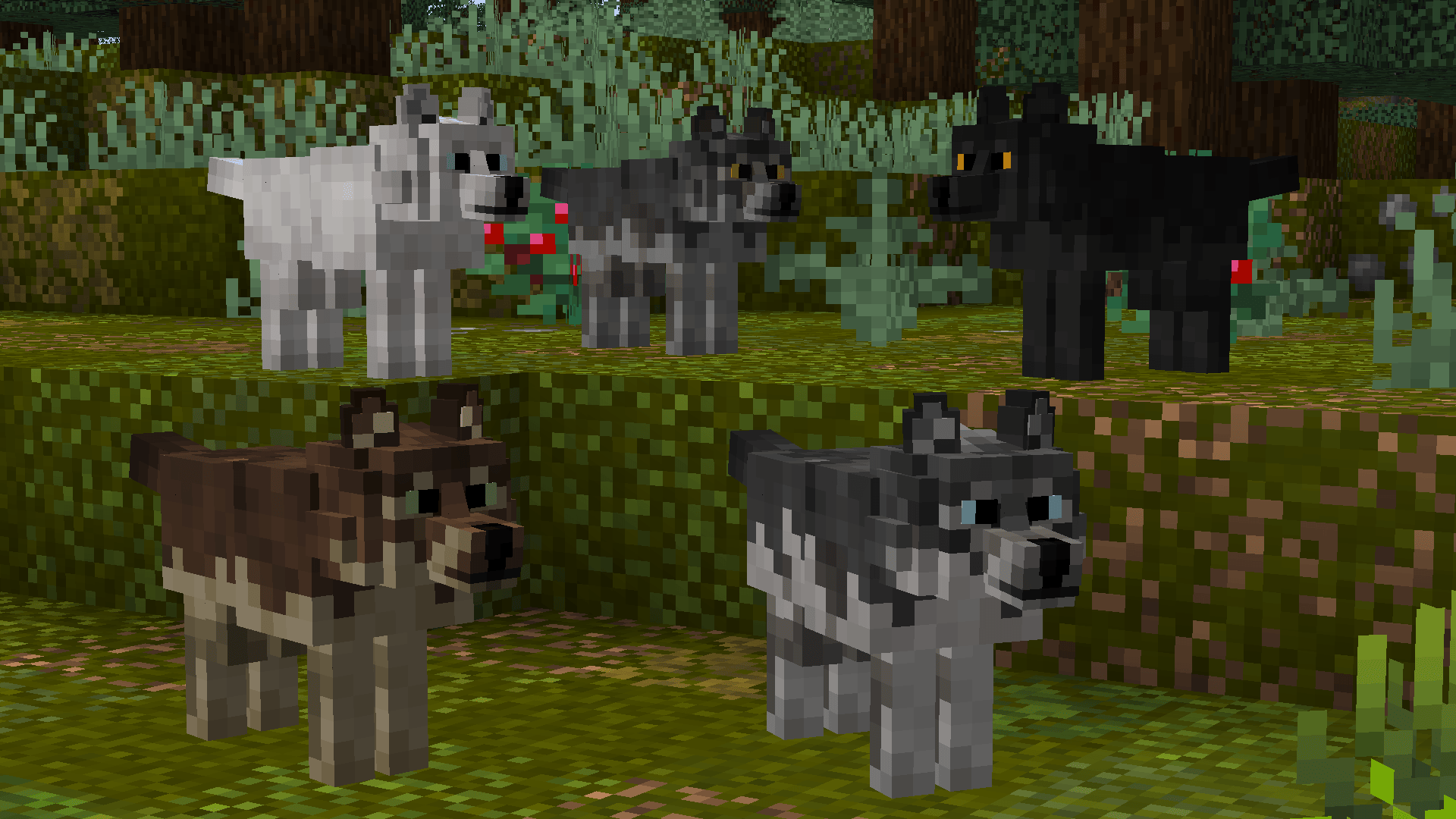 Better Wolves