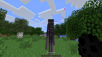 Better Enderman