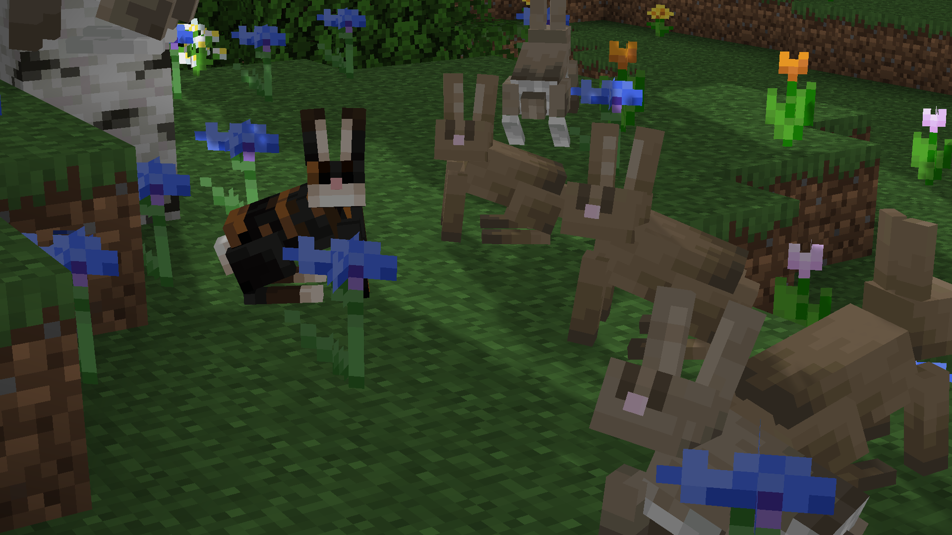 Big Rabbits
