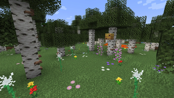 Biomes Revamp