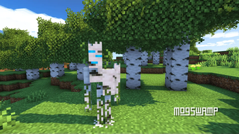 Birch Creaking