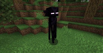 Bleu_2ay's Enderman Model x Fresh Animations