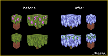 Blooming Wisteria