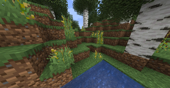 Bomb's humble bushier grass