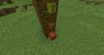 Bontiful Crops