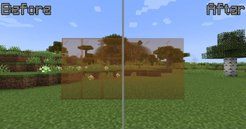 Borderless Glass