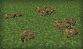 Bray's Better Leaf Litter!
