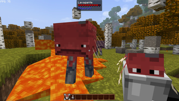 Bucket’Em Remodeled