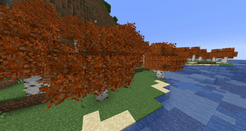 Bushy Autumn Birch