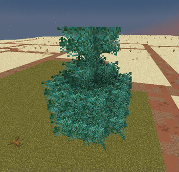 Bushy Better Pines