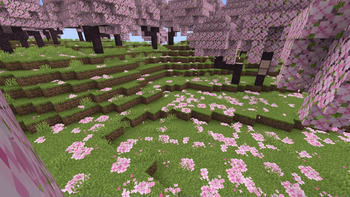 Bushy pink petals, wildflowers & leaf litter