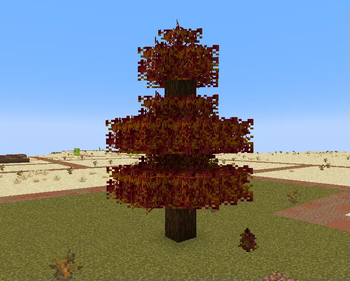 Bushy Red Pines