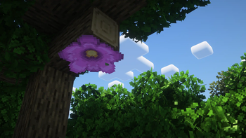 Bushy Round Blossoms