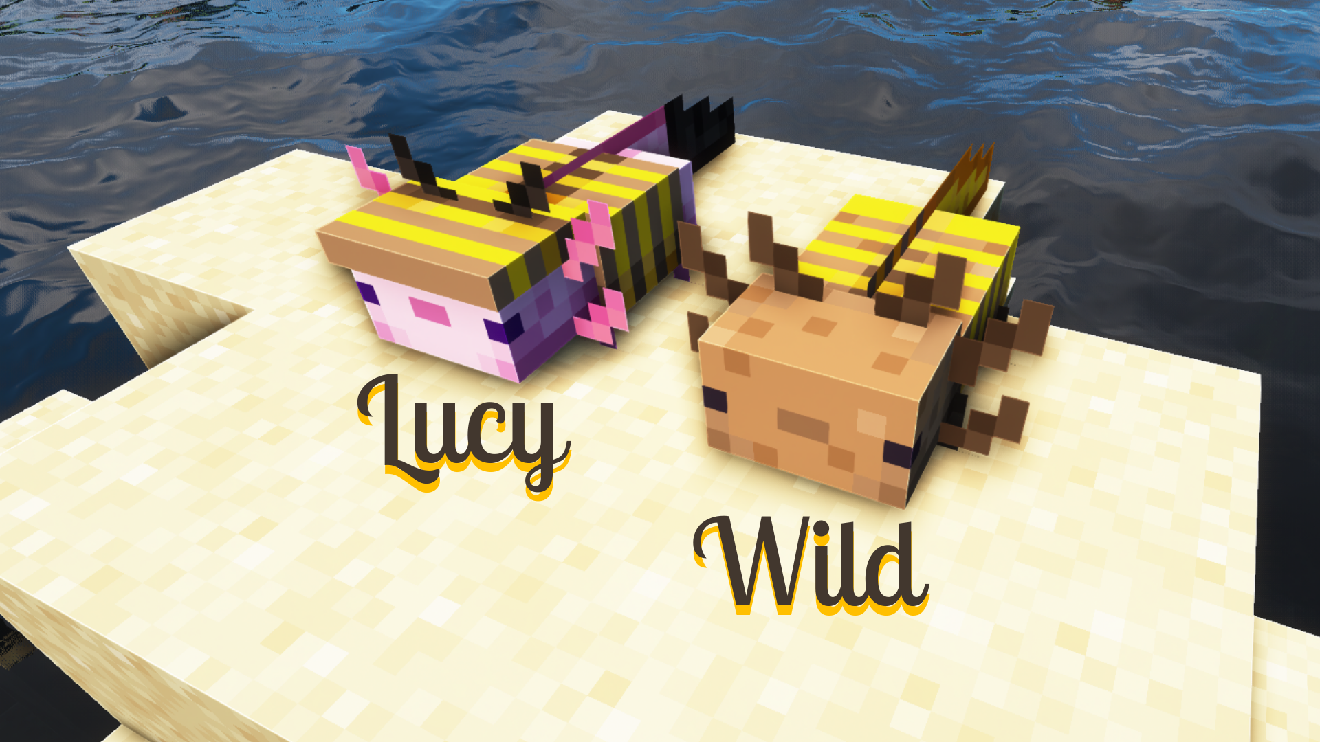 Buzzy Bee Axolotls