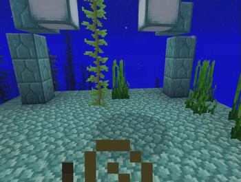 Cancelled Elder Guardian Jumpscare