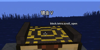 Chinese Translation for tetra