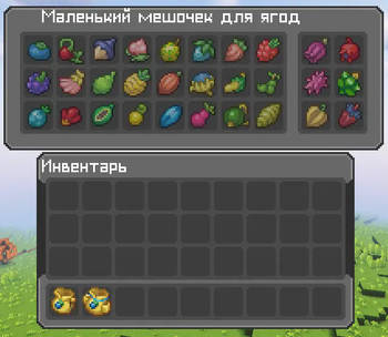 Cobblemon Interface [Berry Pouch]