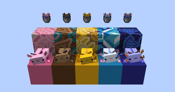 Colored Axolotl Buckets