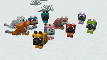 Colorful Canines