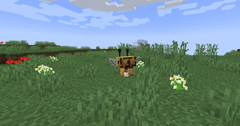 ComBees