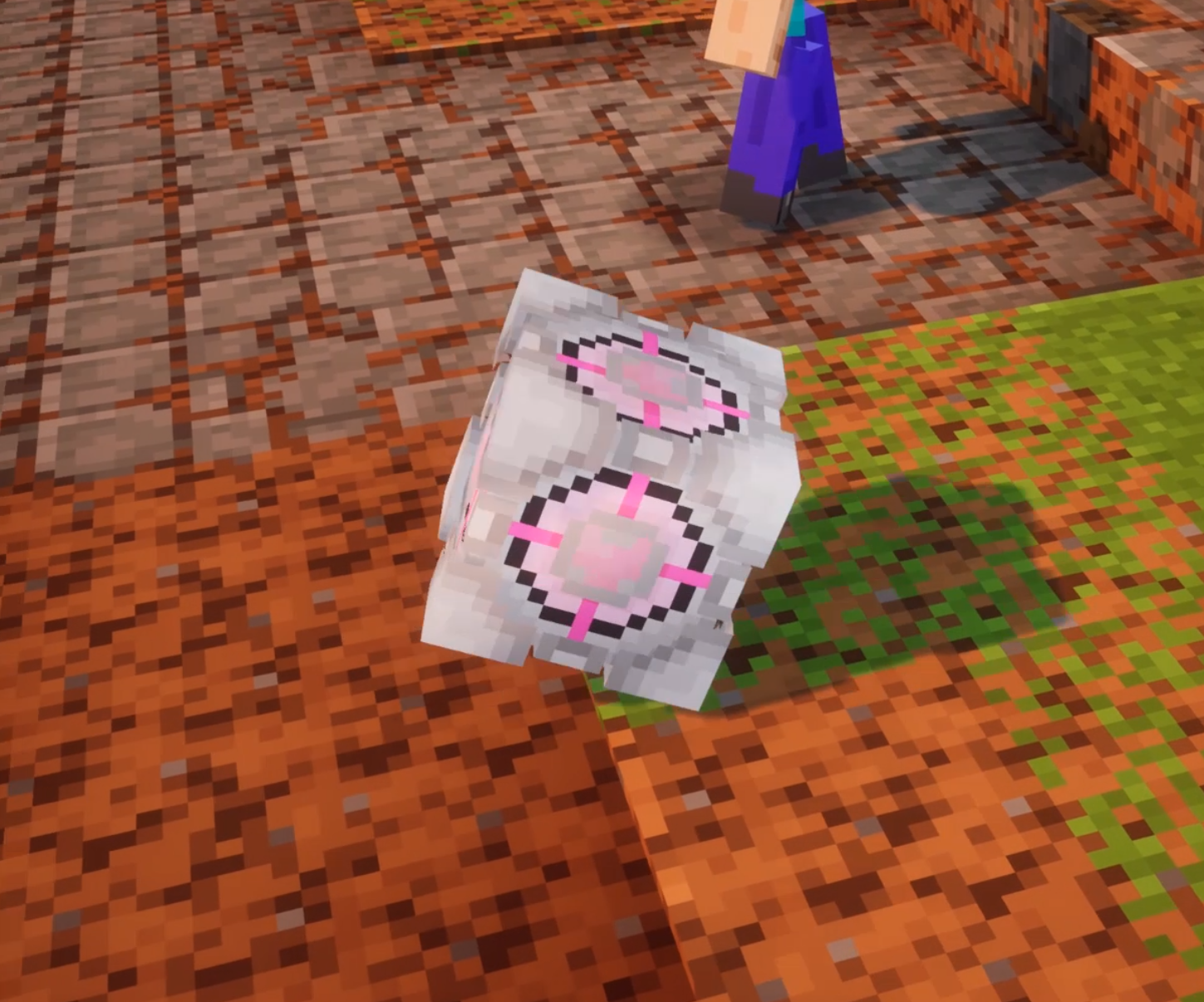 Companion Cube Pet