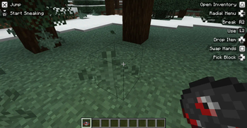 Controlify Dungeons