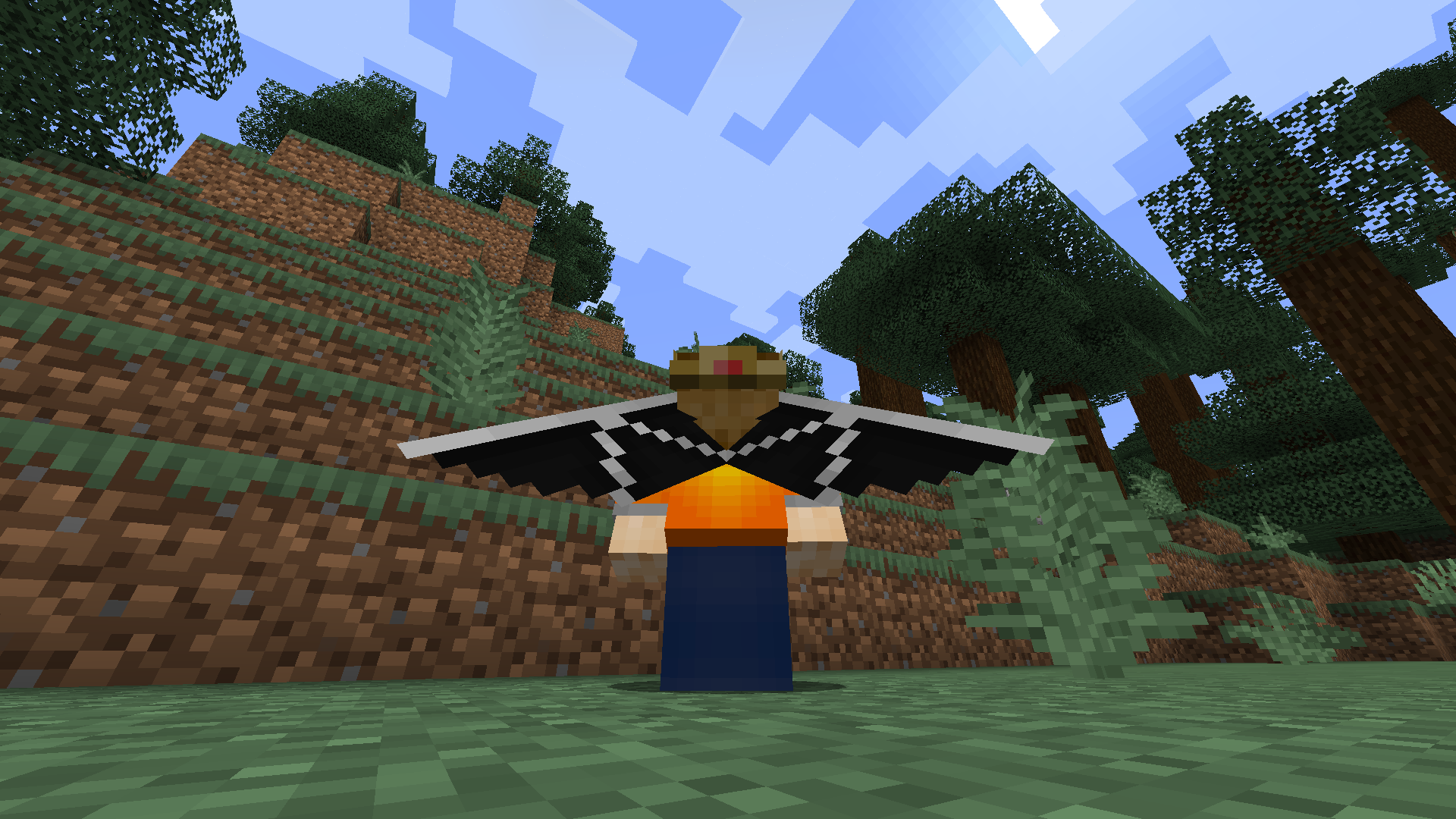 Cosmetic Elytra