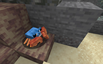 Crabby Krabby (Cobblemon)