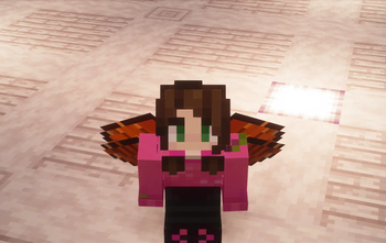 Download Custom Elytra — Minecraft Resourcepacks — MetaMods