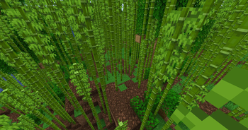 Desaturated & Variated Podzol