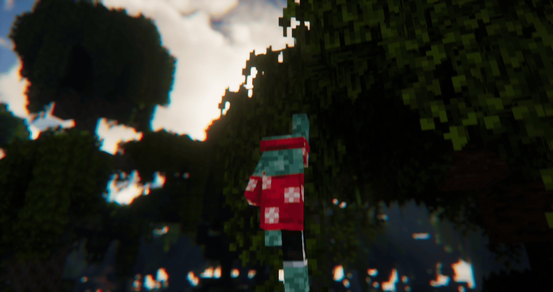 Detailed Animations Tester