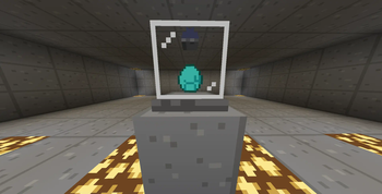 Display Case x Bare Bones