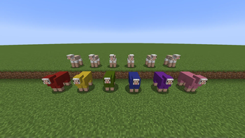 Don't judge a sheep by its wool