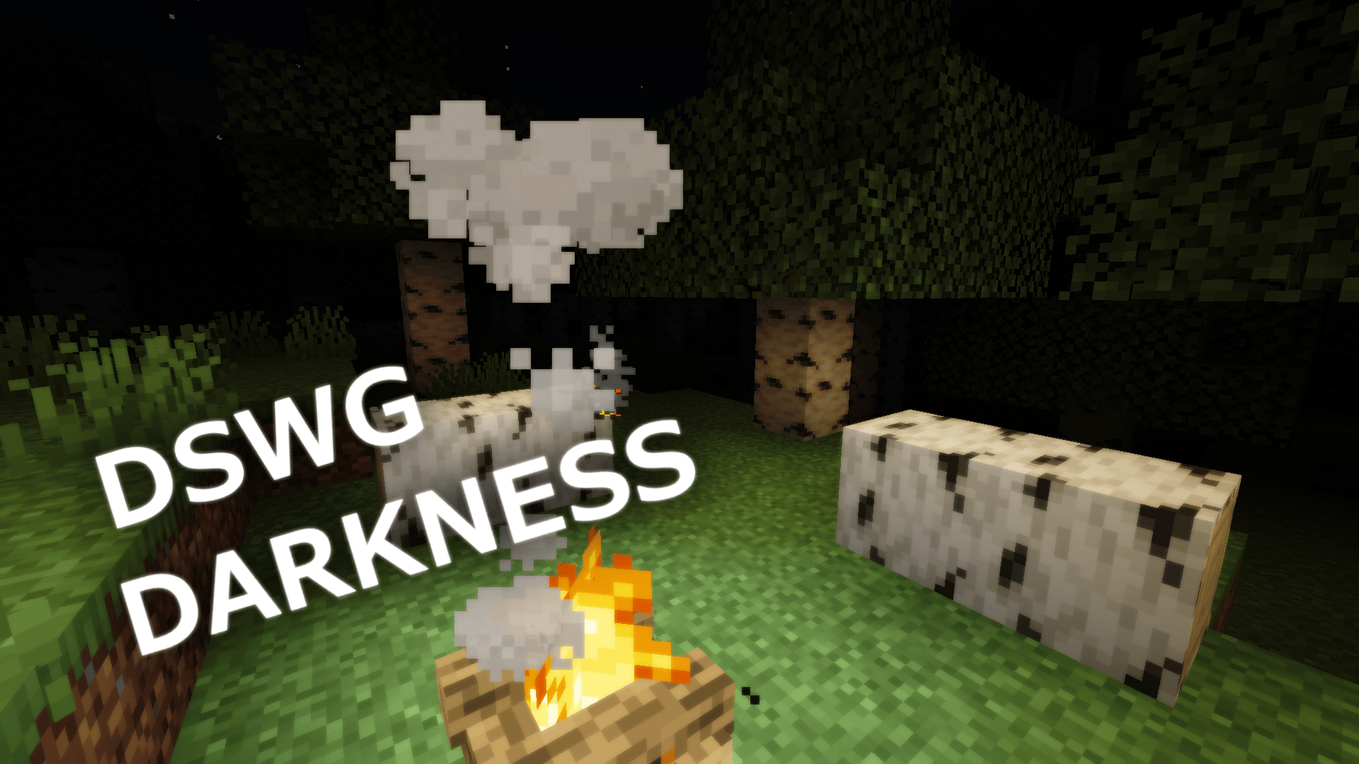 DSWG Darkness