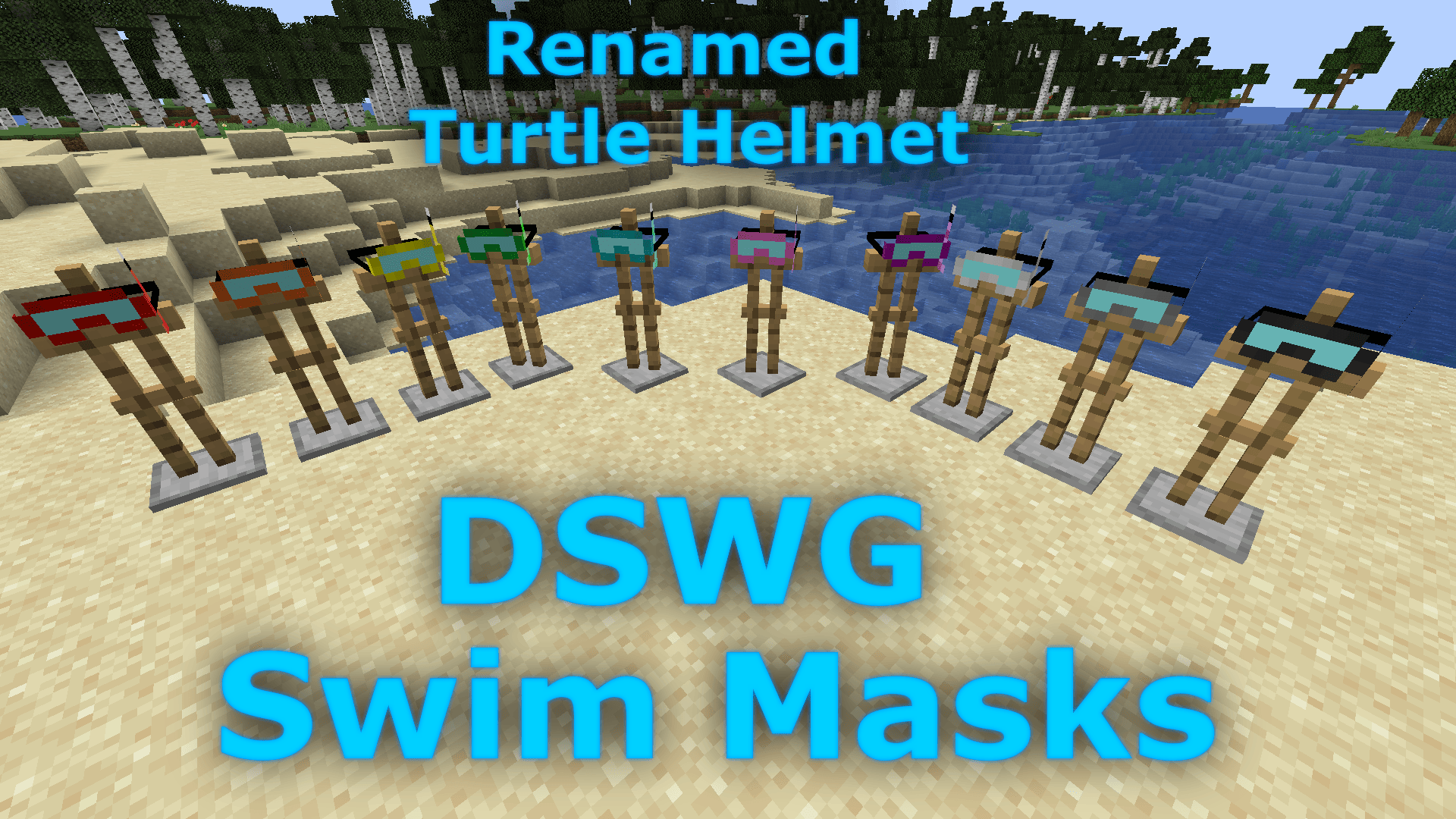 DSWG Swim Masks