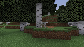 Doggy Talents Next X New Wolves