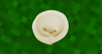 Pelmeni (Dumplings)