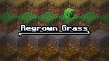 Regrown Grass