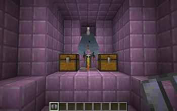 Elytra Display