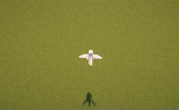 Elytra Fairy Wings
