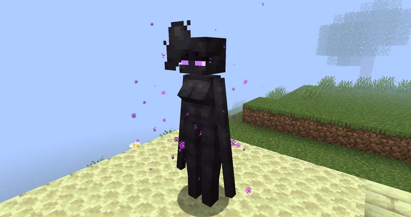 EnderWoman