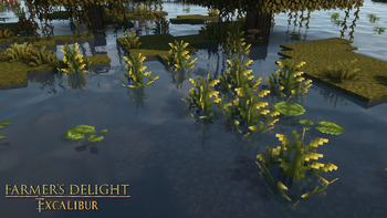 Excalibur | Farmer's Delight Support