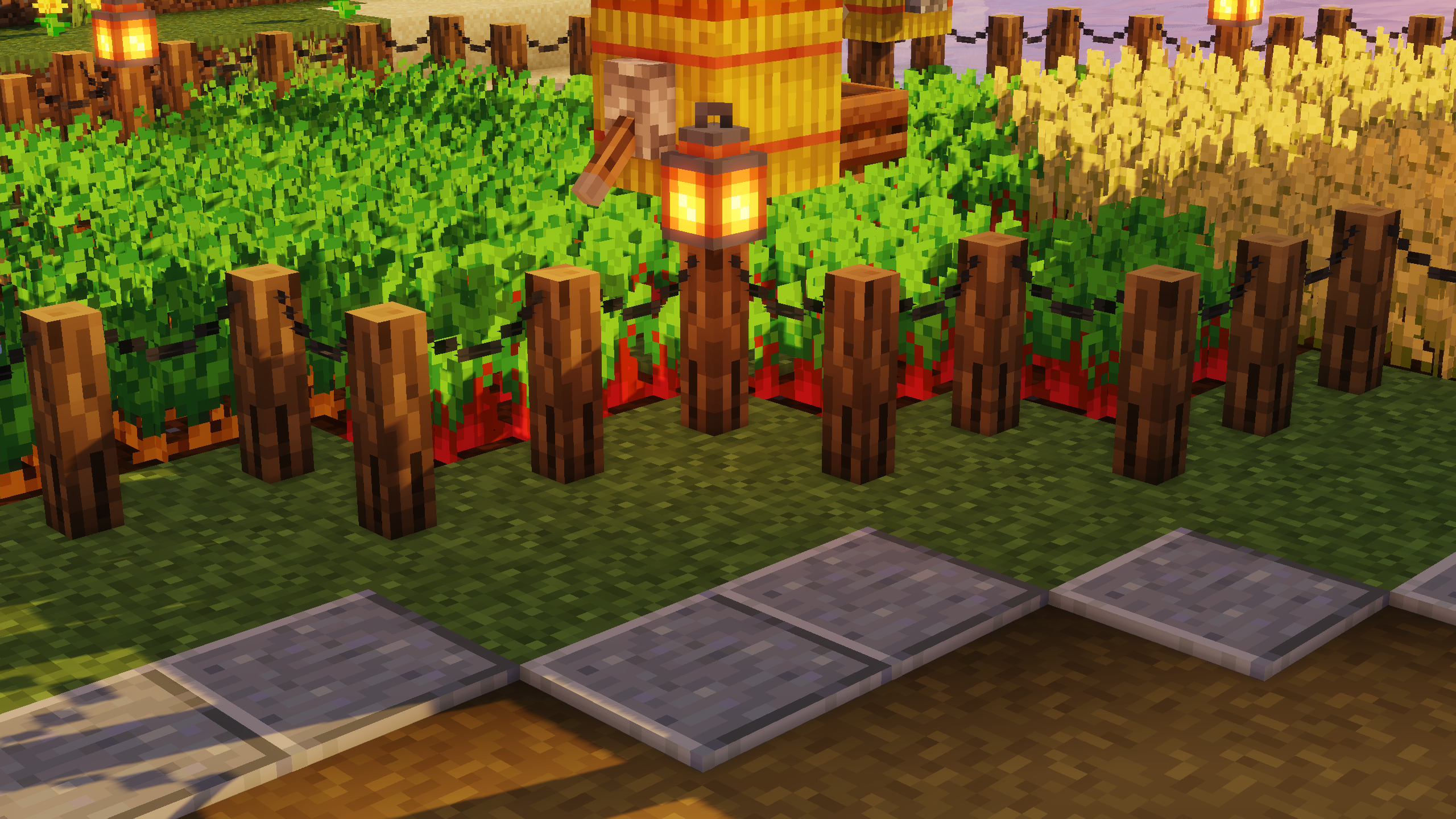 Fences+