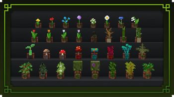 Flower Pots +