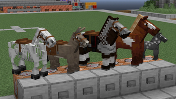 Fresh Animations: Classic Horses