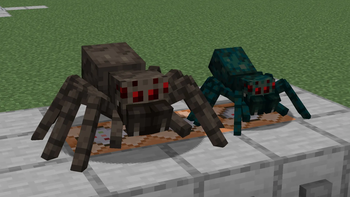 Fresh Animations: Spiders
