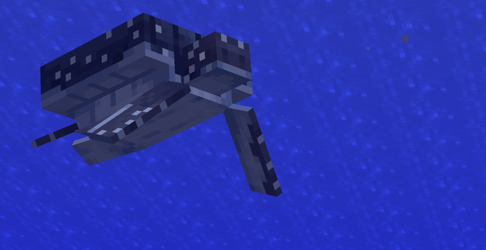 Fresh Better Turtle Variants