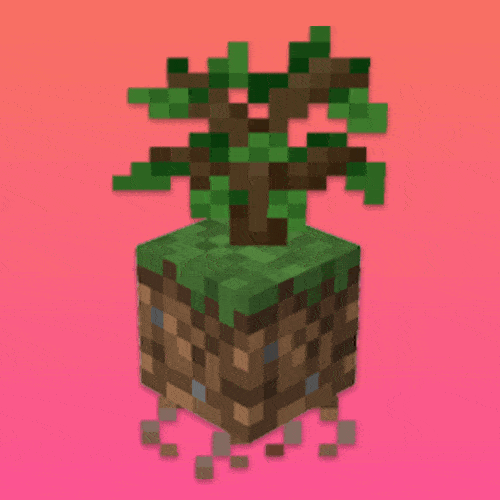 Fresh Flowers and Plants