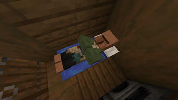 Fresh Sleeping Villagers