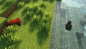 Fresh Lanostry's foxes